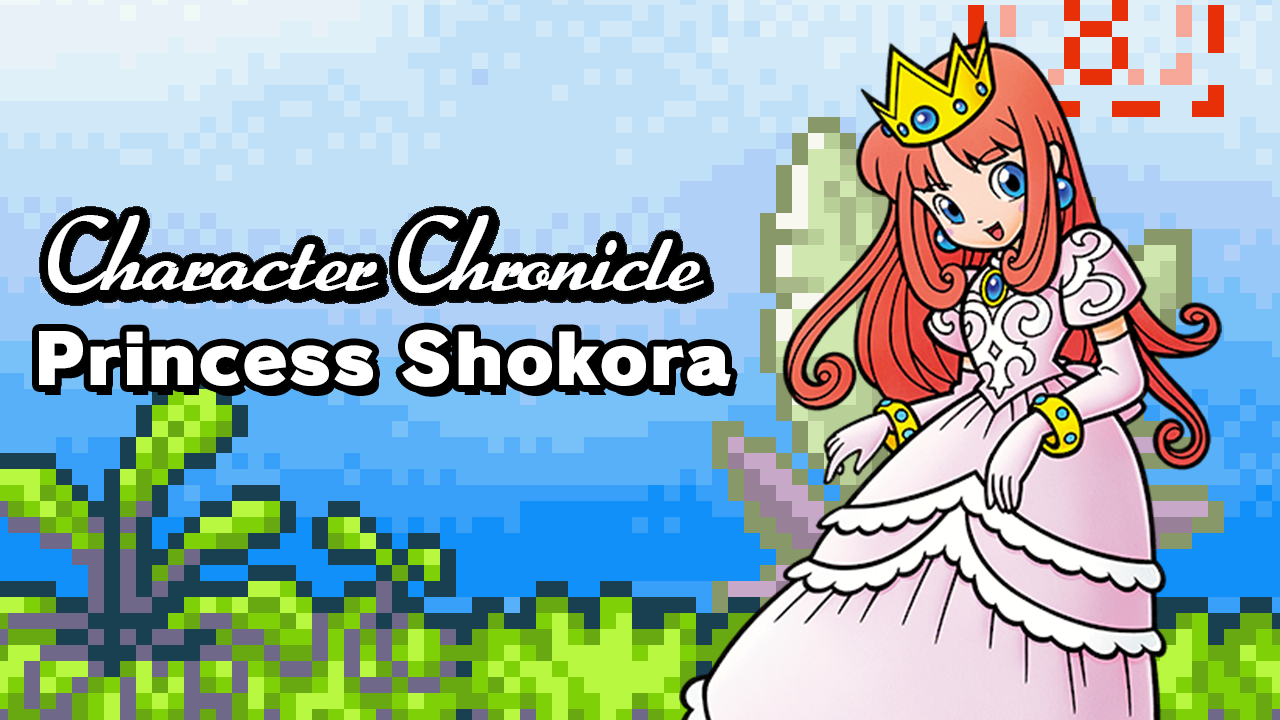 Character Chronicle: Princess Shokora Source Gaming